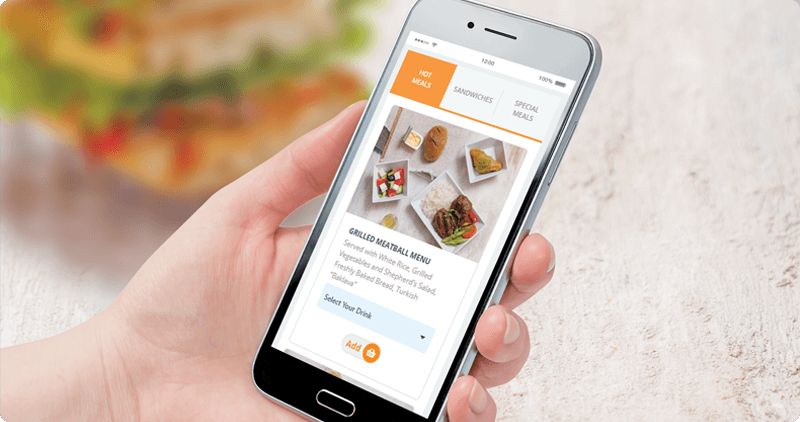 Sales of Additional Services on Freebird Airlines Website Has Been Started
